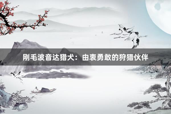 刚毛波音达猎犬：由衷勇敢的狩猎伙伴
