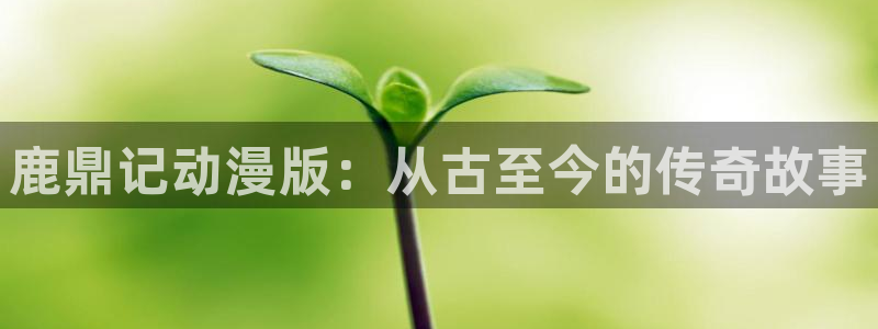 羞羞汗汗漫画在线：鹿鼎记动漫版：从古至今的传奇故事