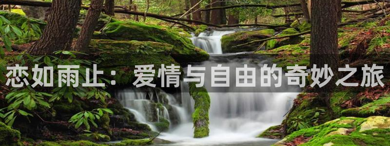 汗汗漫画和歪歪漫画sss：恋如雨止：爱情与自由的奇妙之旅