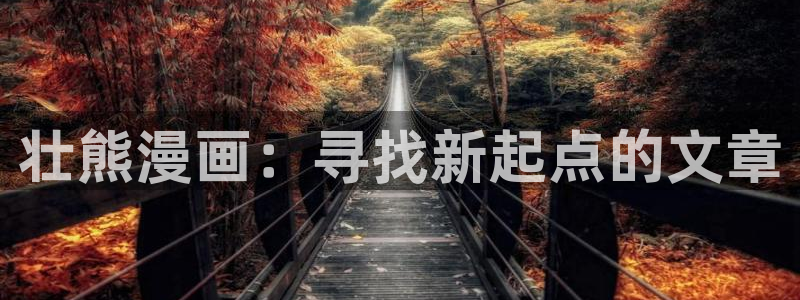 汗汗漫画网页观看：壮熊漫画：寻找新起点的文章