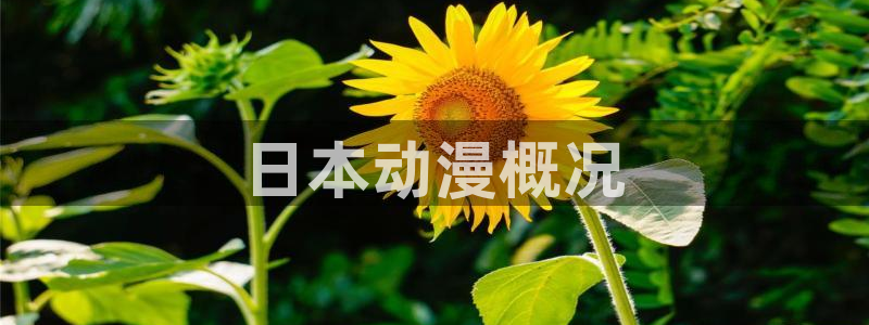 汗汗漫画免费漫画下拉式阅读：日本动漫概况