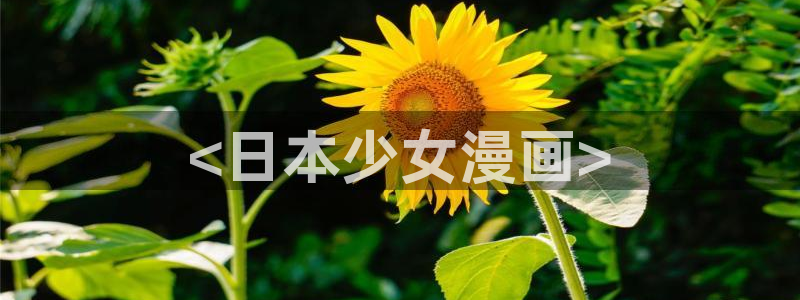 汗汗漫画――歪歪漫画免费：<日本少女漫画>