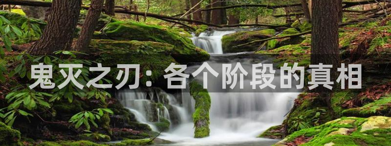 羞羞漫画汗汗漫画网：鬼灭之刃: 各个阶段的真相